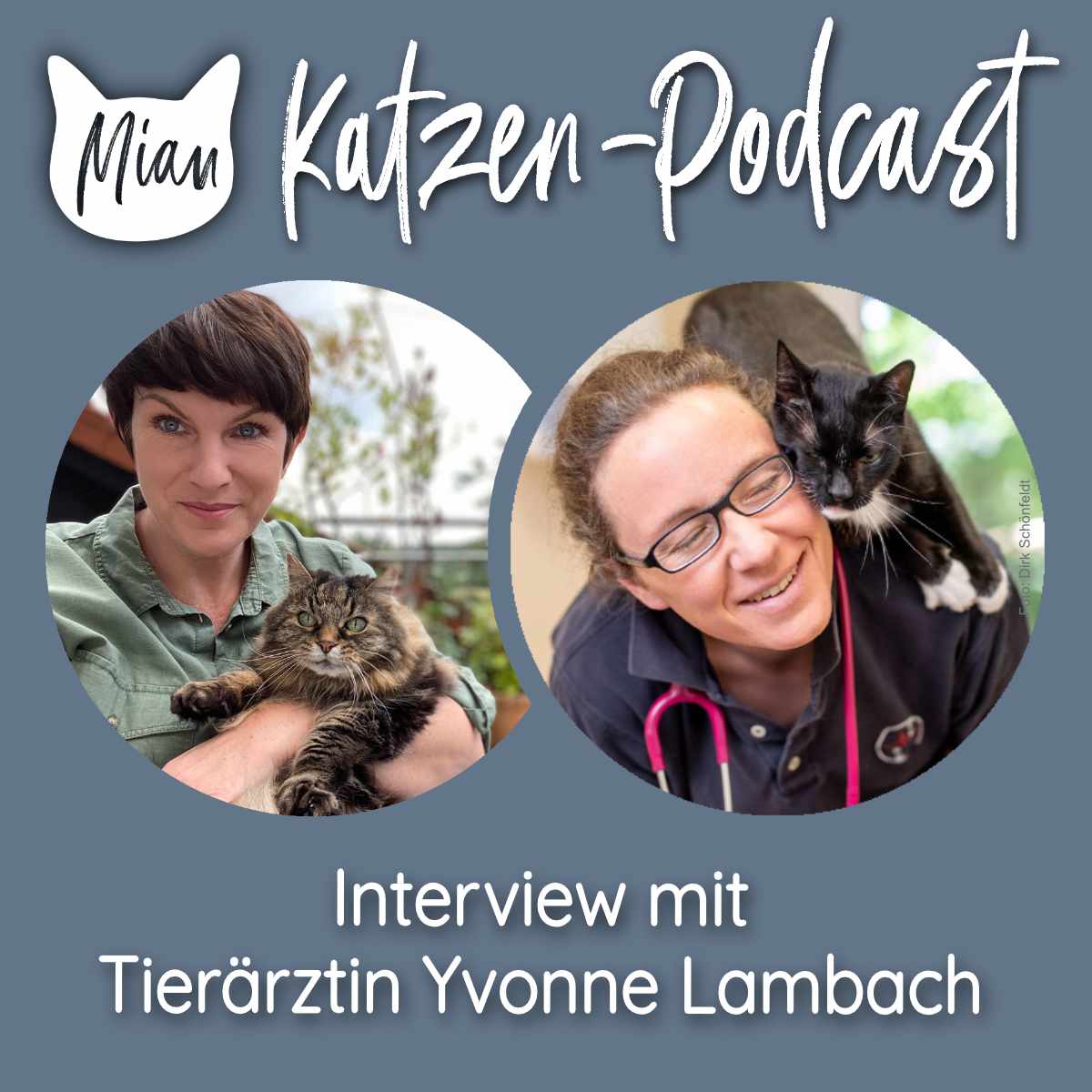 Verhaltensänderungen bei alten Katzen erkennen - Interview mit Tierärztin Yvonne Lambach 1/2 | MKP124