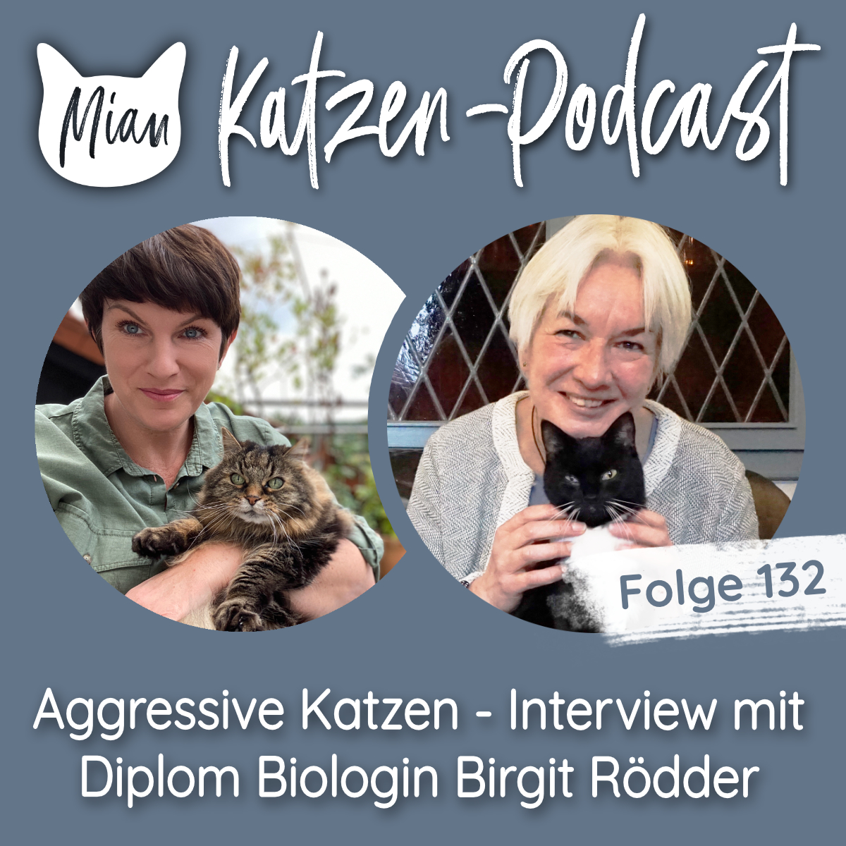 Hilfe, meine Katze ist aggressiv! - Interview mit Diplom Biologin Birgit Rödder | MKP132