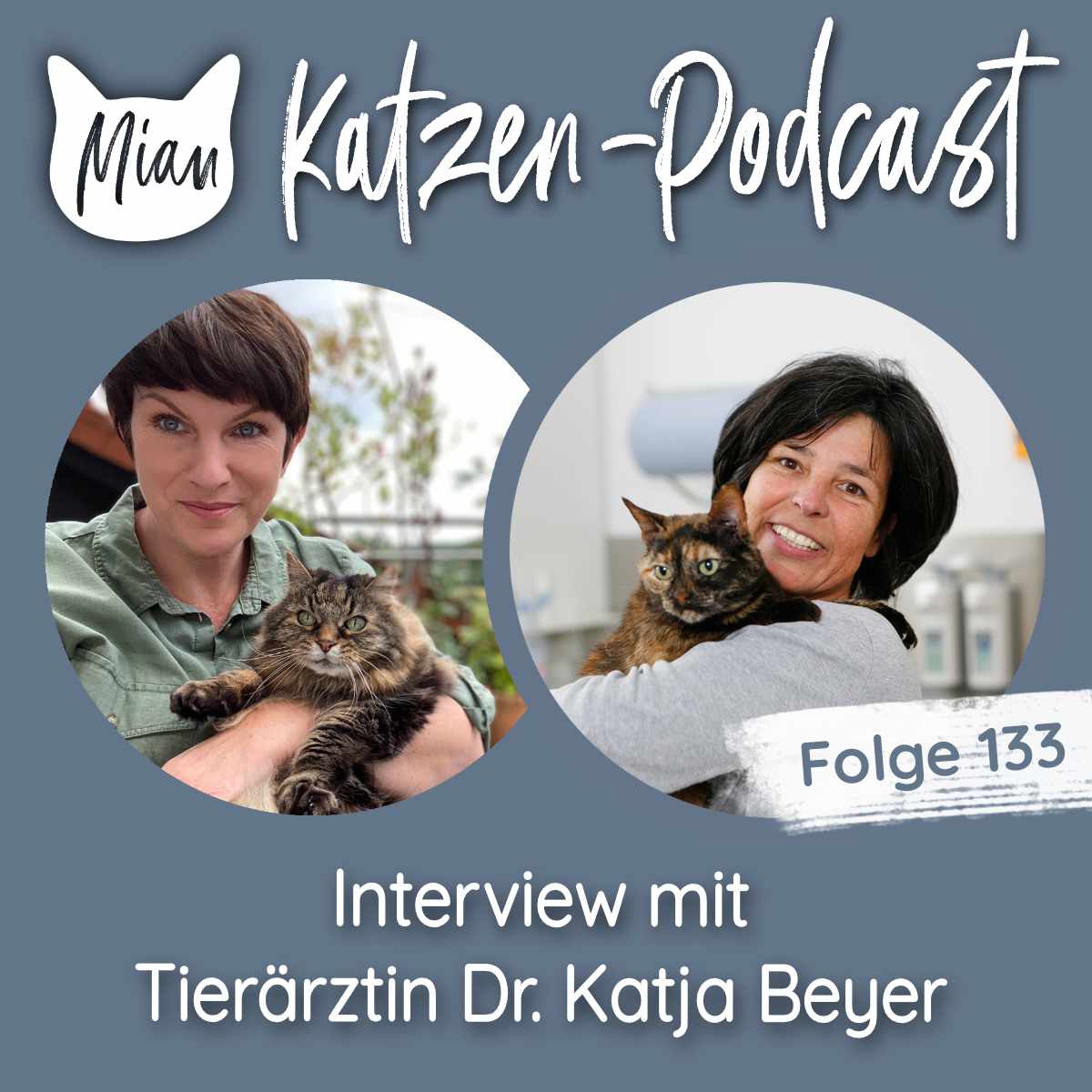 Eine Tierarztpraxis nur für Katzen - Interview mit Tierärztin Dr. Katja Beyer | MKP133