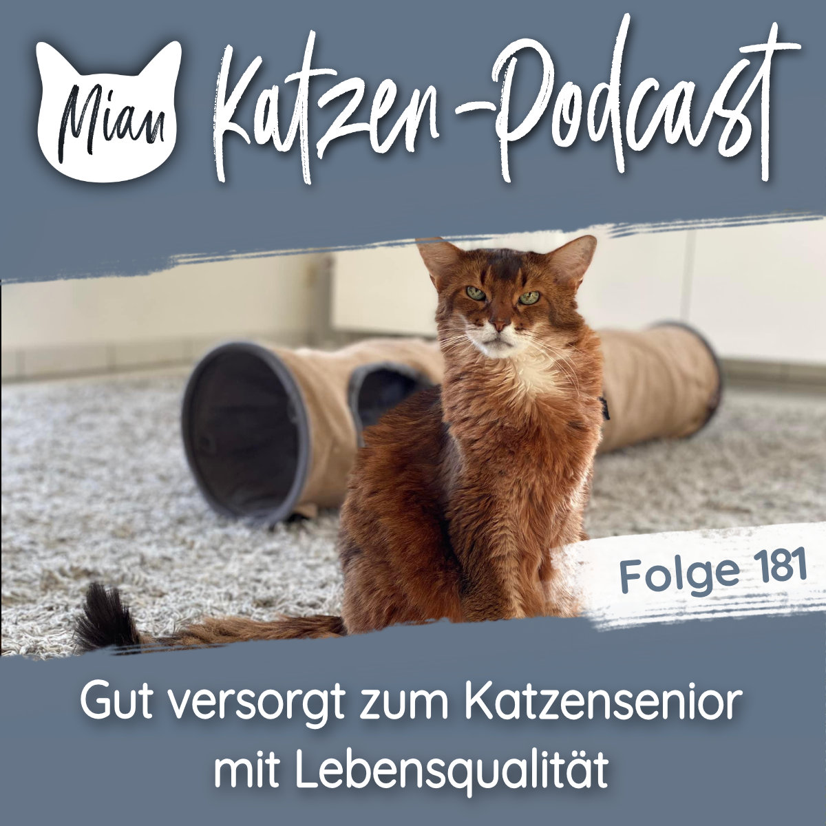 Gut versorgt zum Katzensenior mit Lebensqualität | MKP181
